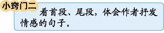 部编版四年级下册语文1-8单元作文,部编版四年级语文第二单元知识点