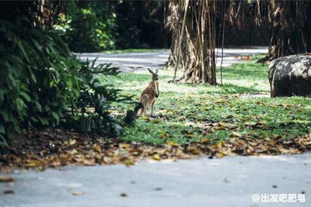 长隆飞鸟乐园怎么去长隆欢乐世界,汉溪长隆地铁站去长隆飞鸟乐园