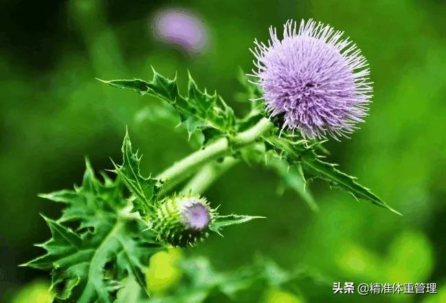 不小心被割伤了没有创可贴怎么办,不小心割伤没有创可贴怎么办