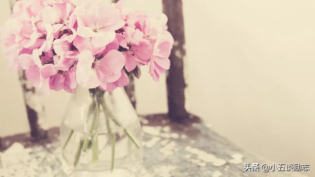 心静便是菩提,心静便是菩提古诗