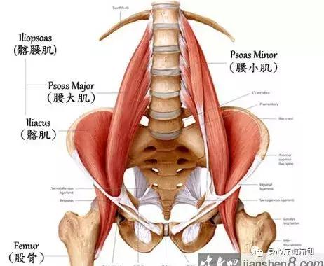 瑜伽半莲花盘坐方式,瑜伽莲花盘坐脚踝很疼