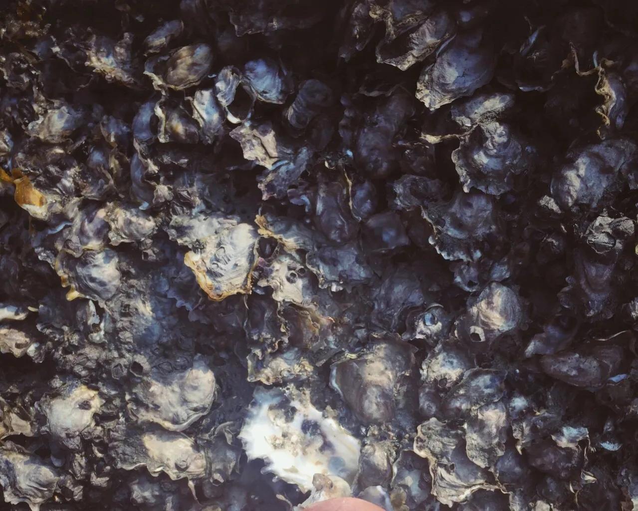 辽东半岛小渔村,辽南小渔村