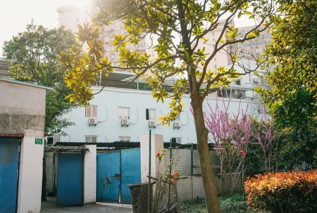 高校食堂大盘点,大学食堂盘点