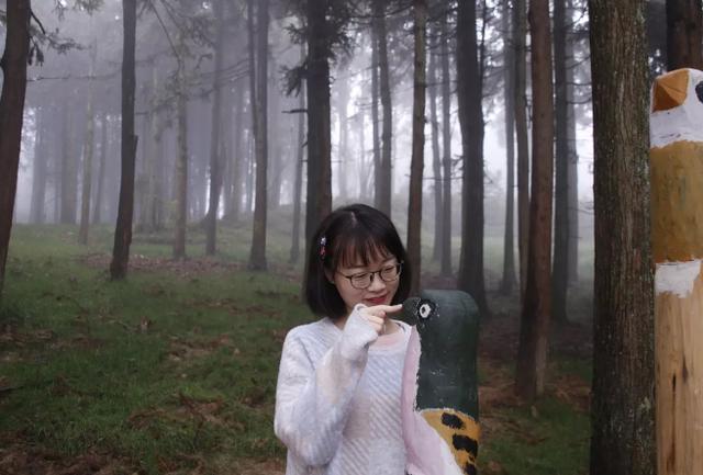 北大保研学霸,学霸集体保研名校