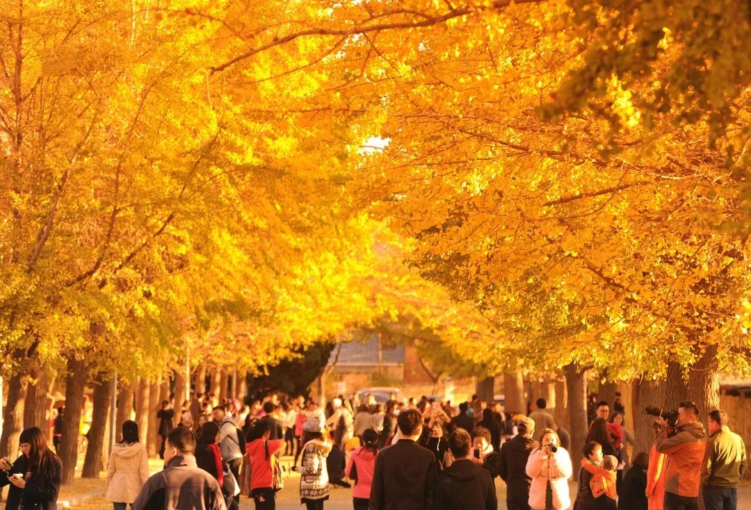 旅顺自然保护区,旅顺文物保护区