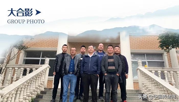 非瘟拔牙成功的案例,拔牙治愈过程