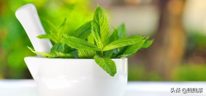 西餐常用的香料百里香是什么味道,西餐中经常用到的香草如何搭配