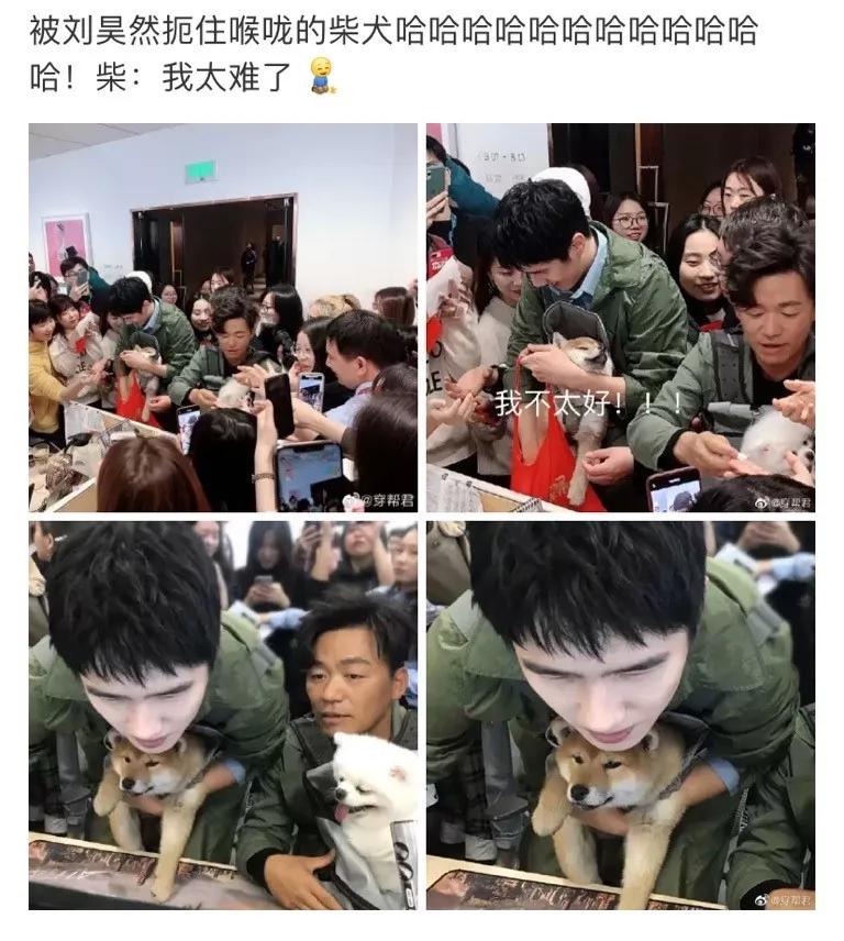 明星大撞脸你看哪个最像,明星撞脸对比