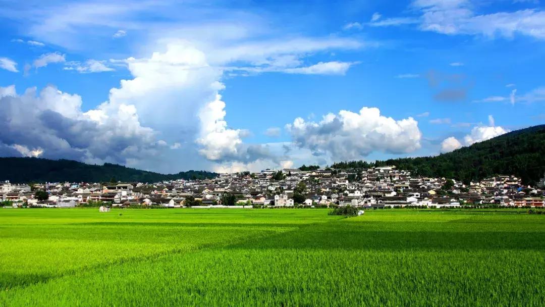 我的团长我的团和顺之战,我的团长我的团十年生死两茫茫