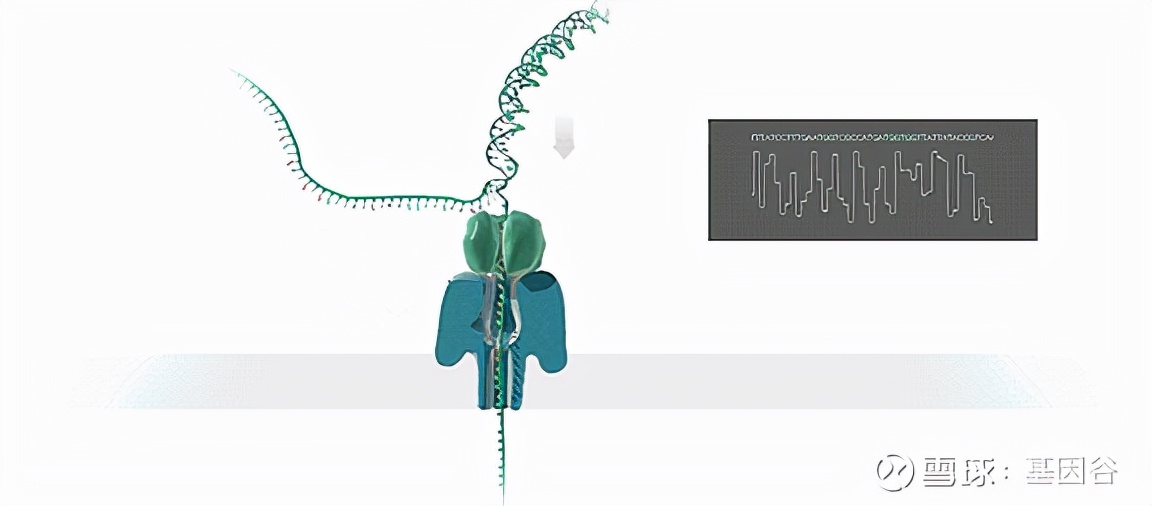 全场硬菜!分子诊断技术全解析