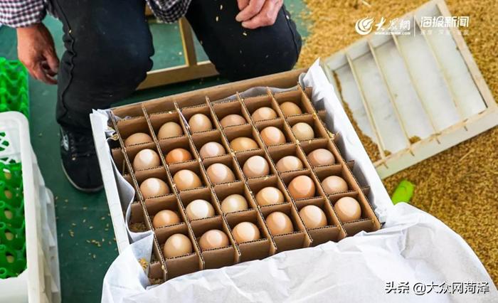 1元微力量捐款到武汉|30枚爱心鲜鸡蛋26.8元,顺丰包邮到家