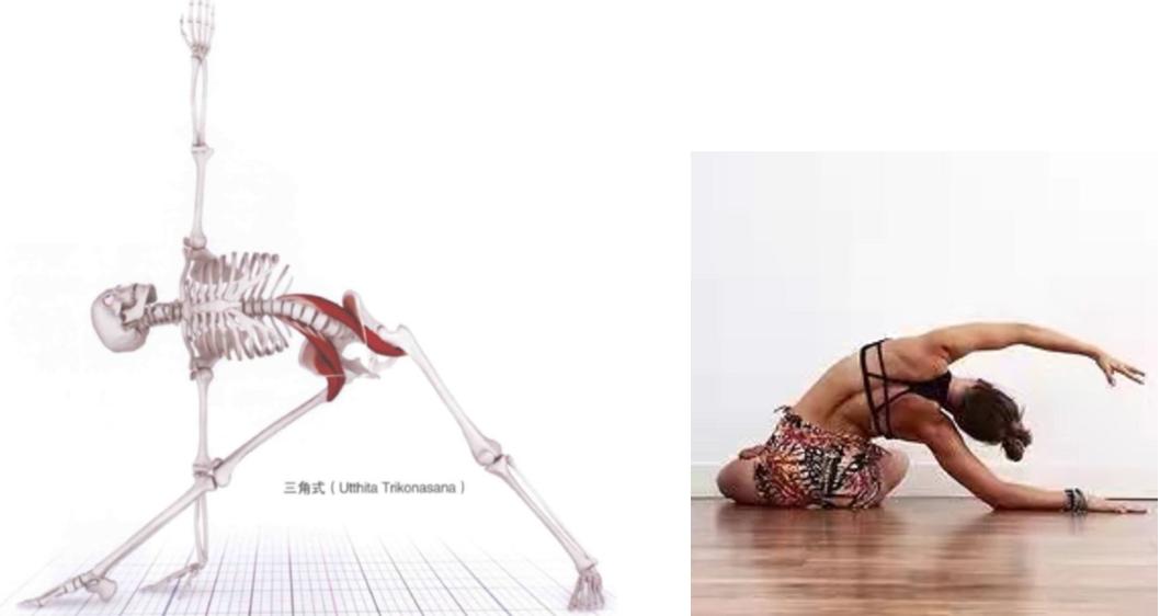 瑜伽初学者腰肌劳损怎么练习腰部,瑜伽腰背部疼痛怎么办