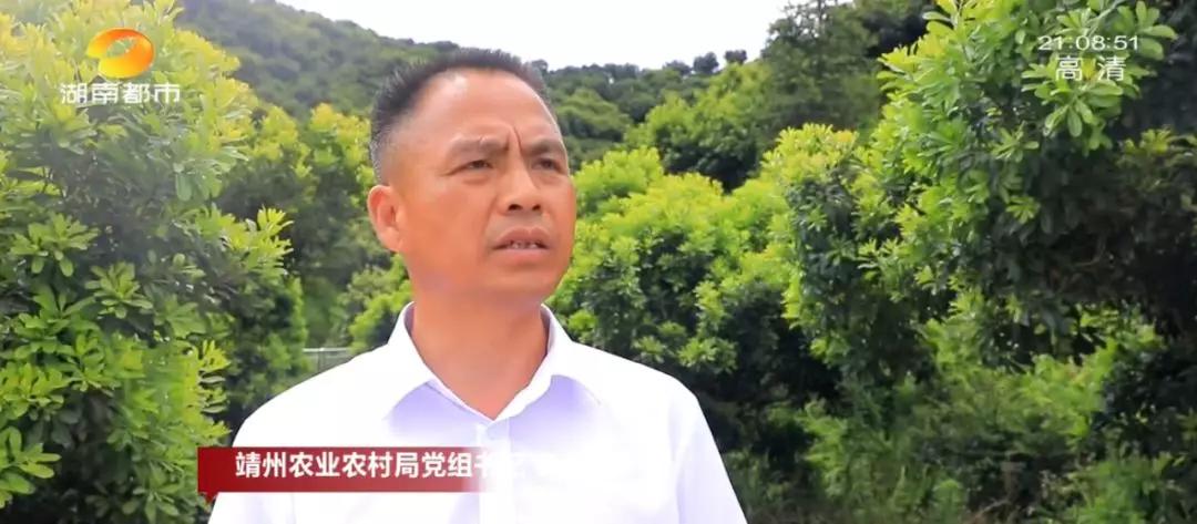 ​湘村发现|就在怀化，“江南第一梅”藏不住了！香甜多汁的秘密今天全告诉你...