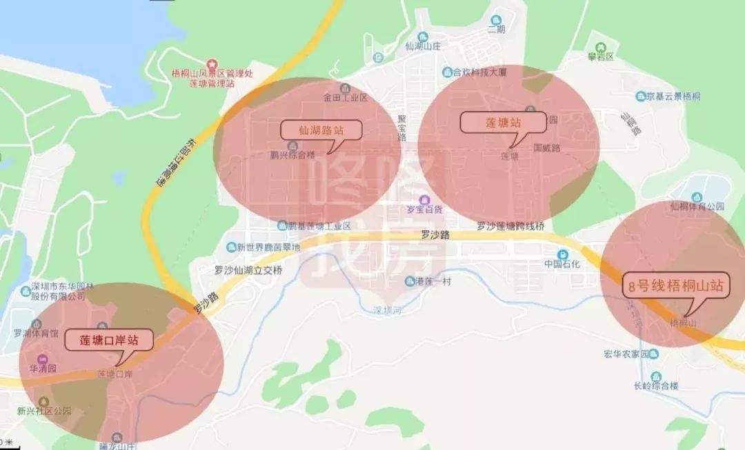 罗湖区崛起,罗湖未来崛起