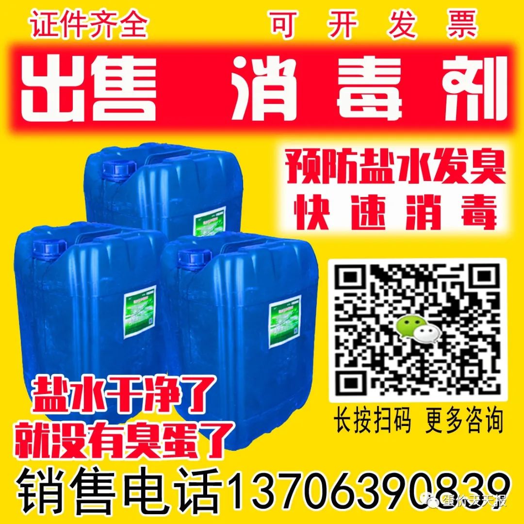 2019年1月24号全国鸭蛋价格,2022年4月12日鸭蛋价