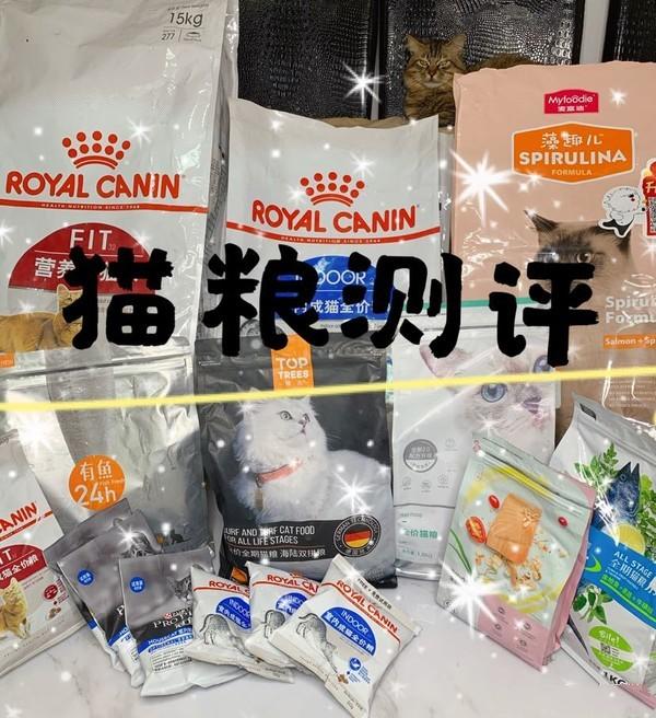 测评养猫,排名前十的猫粮养猫必看