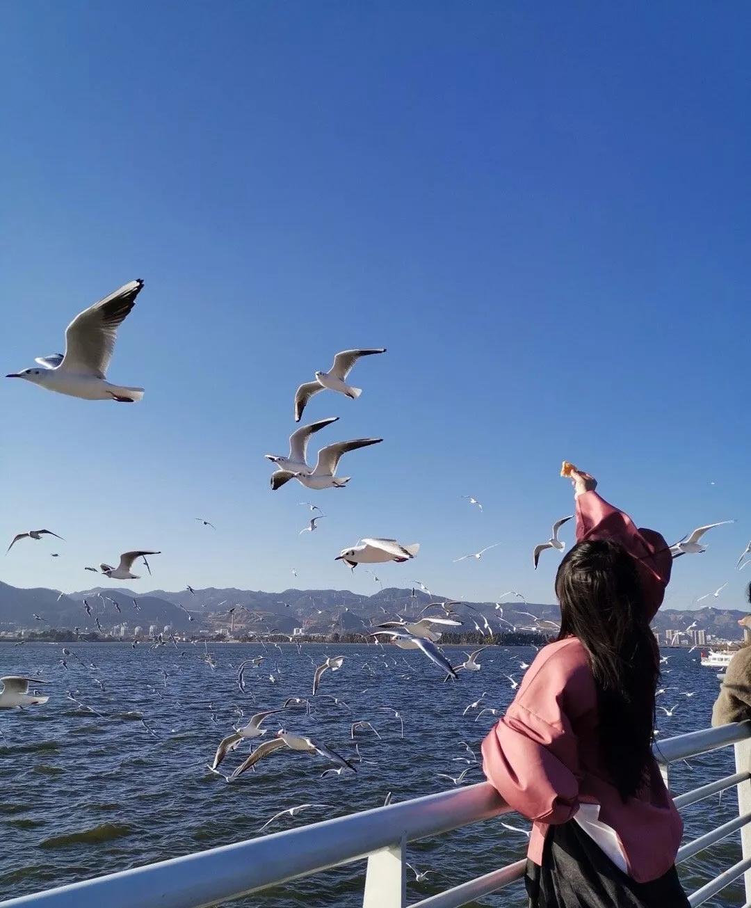 云南旅游热点排名前十,云南旅游繁忙之都