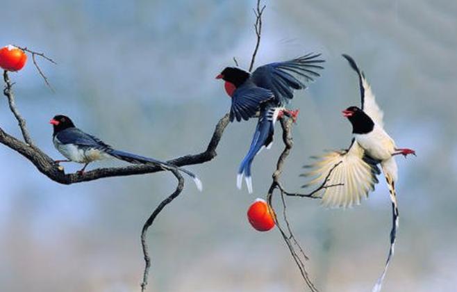 不占便宜是一种大格局,不占便宜的人才有格局