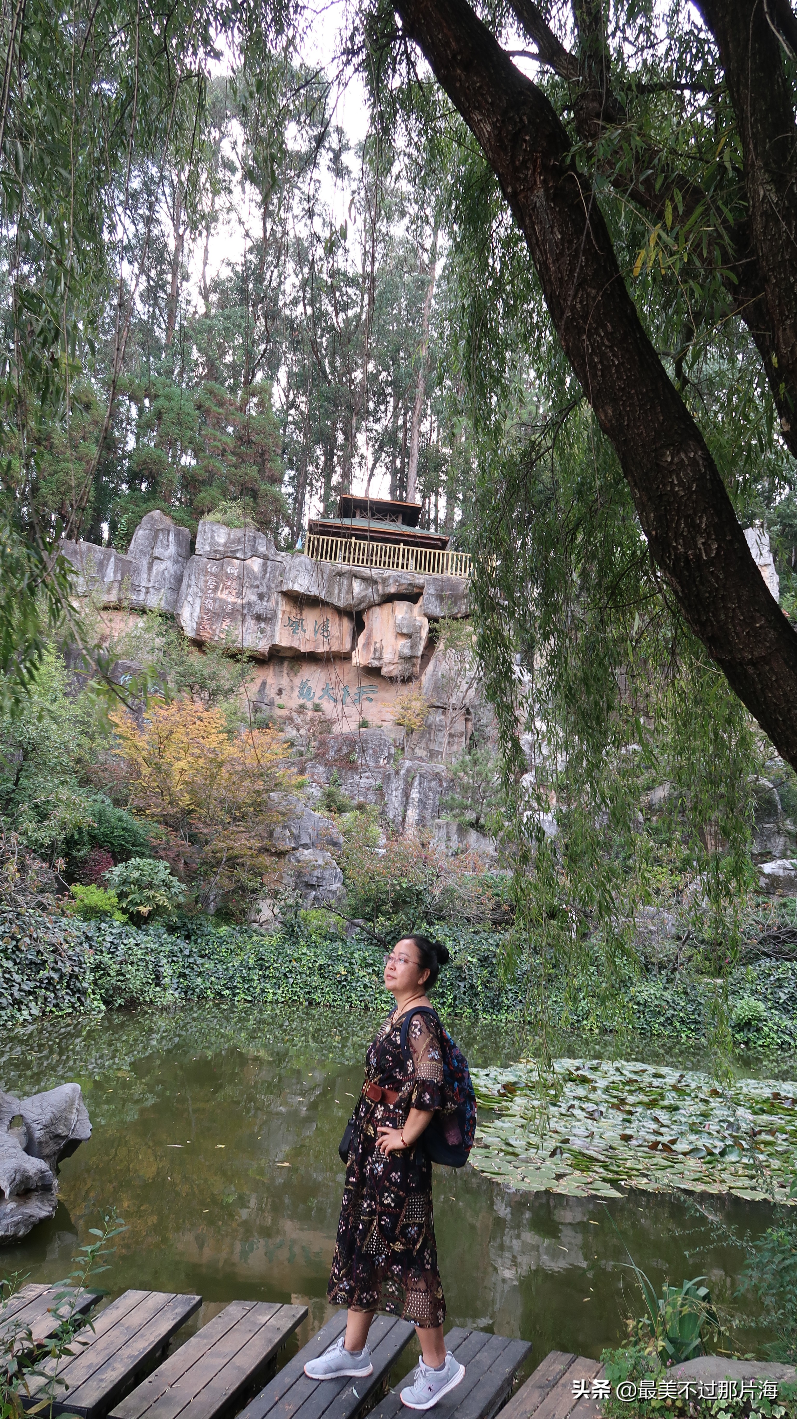 昆明世博园和云南大观园游玩攻略,昆明有个世博园四季如春好地方