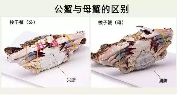 秦皇岛海鲜码头4月开海,秦皇岛开海海鲜