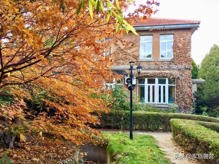 大连八七疗养院战友,大连市八七疗养院的故事