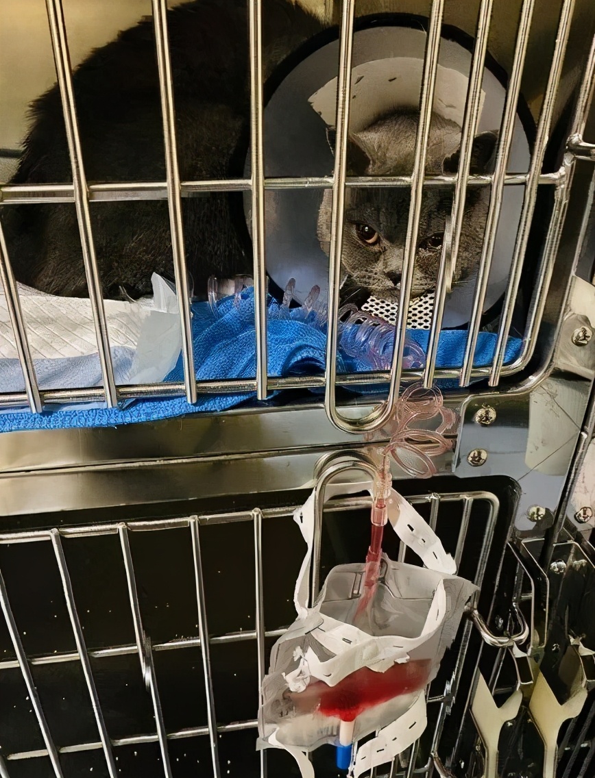 男言之隐怎么样,男言之隐介绍