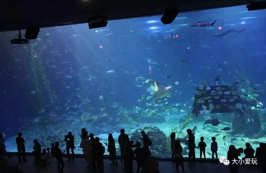 暑假出游酒店推荐 (暑假旅游机票攻略)