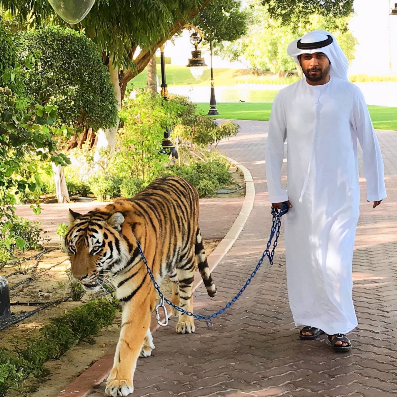 迪拜城市发展史,迪拜城市的发展史