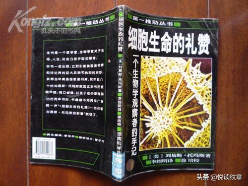 璇楃粡鍥介鍛ㄥ崡鑺ｈ嫝,璇楃粡鍛ㄥ崡鑺ｈ嫝鑳岃