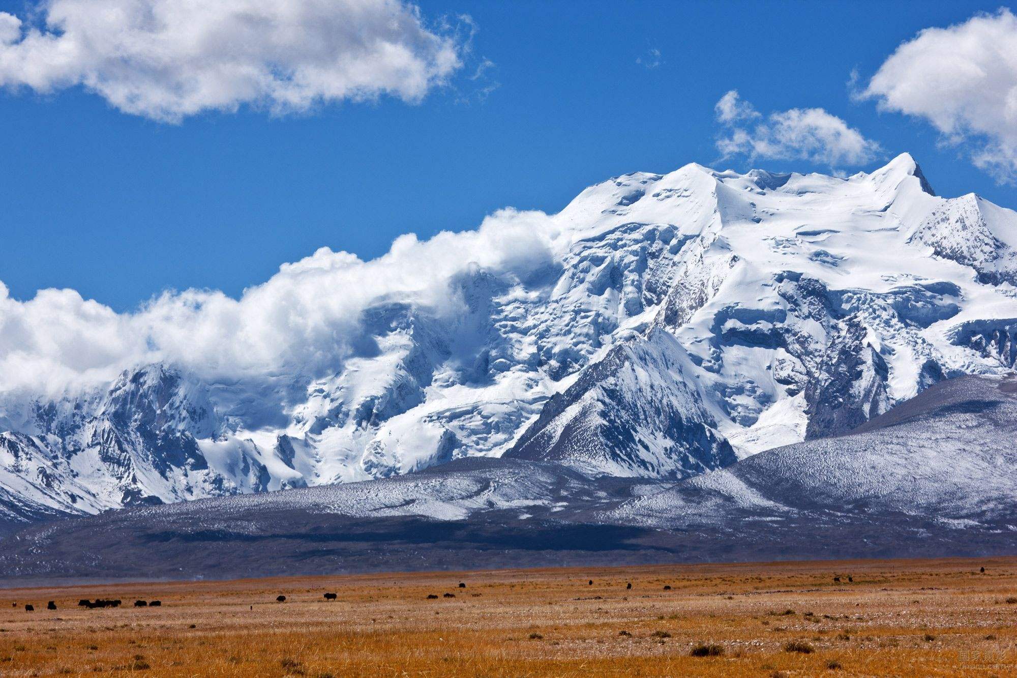 希夏邦马峰旁边是珠峰吗,希夏邦马峰和珠穆朗玛峰