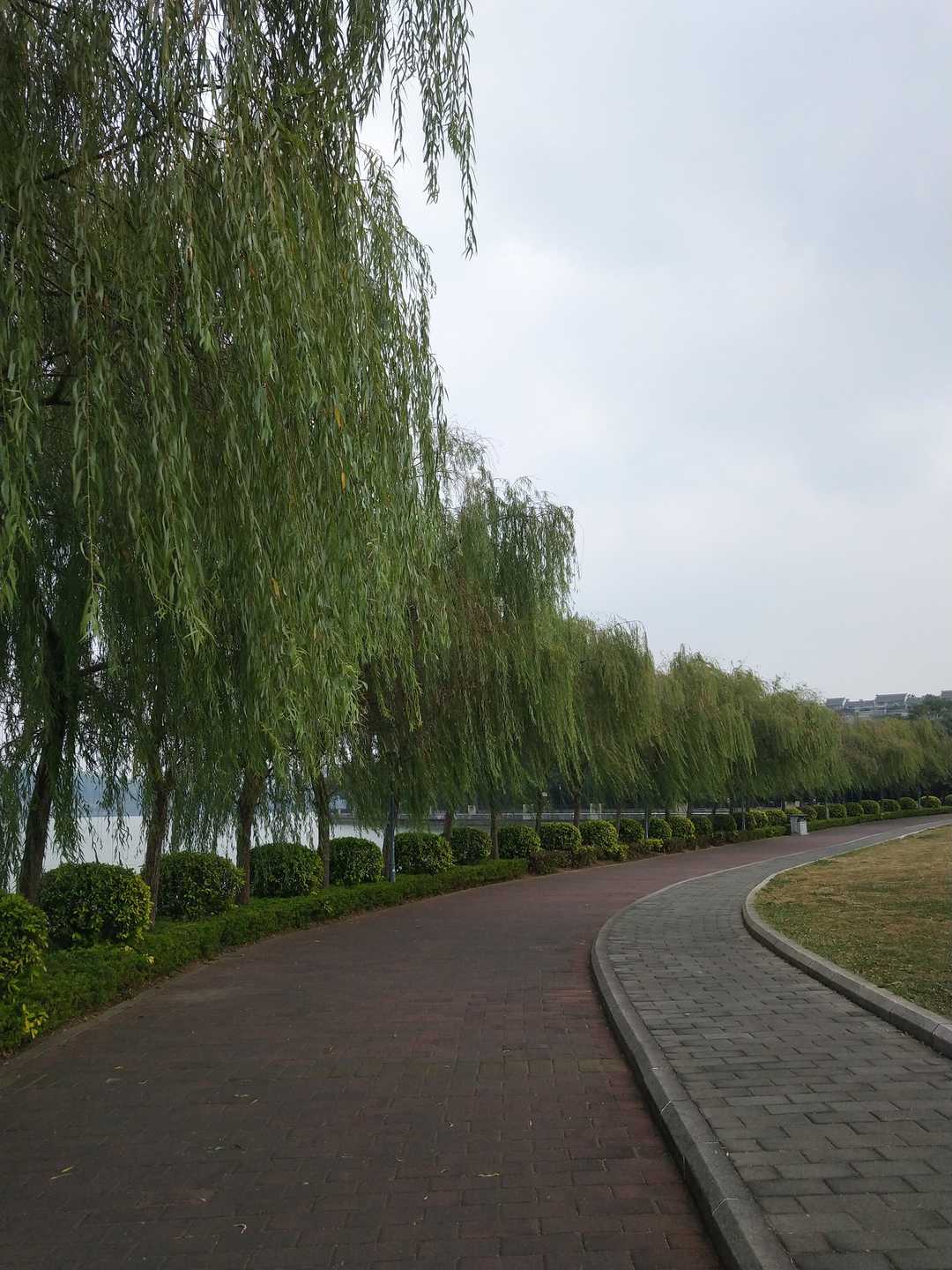 遥望星湖山水翠，白银盘里一青螺。‖肇庆星岩环湖游4