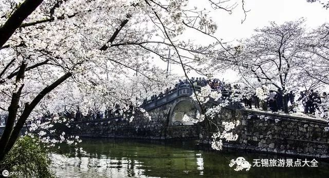 无锡有哪些旅游景点值得去,去无锡旅游哪些景点值得推荐