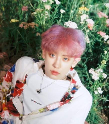 发腮比发福还可怕下一句,发腮和变胖的区别