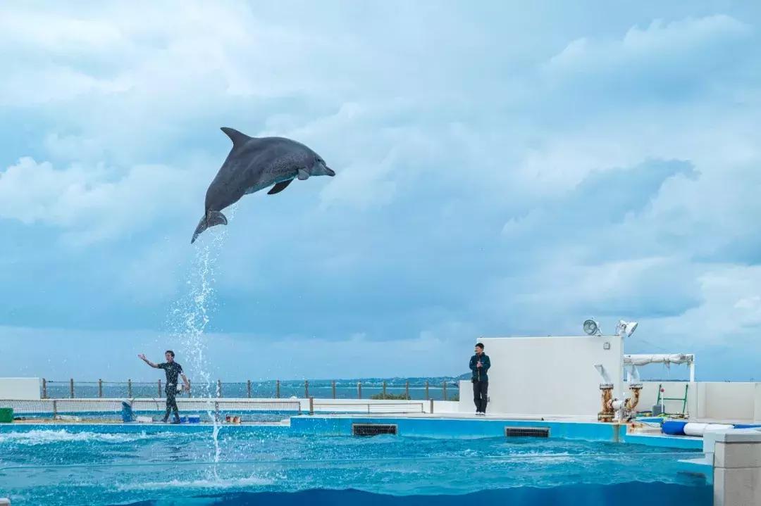 适合带孩子暑假去旅游的海岛,暑假最适合带孩子旅游的海滩