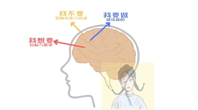 儿童情商管理与沟通技巧,儿童情商训练情绪疏导
