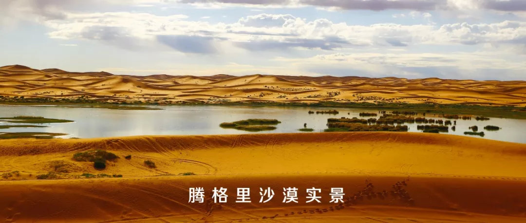 沙漠游学夏令营,儿童沙漠夏令营报名优惠