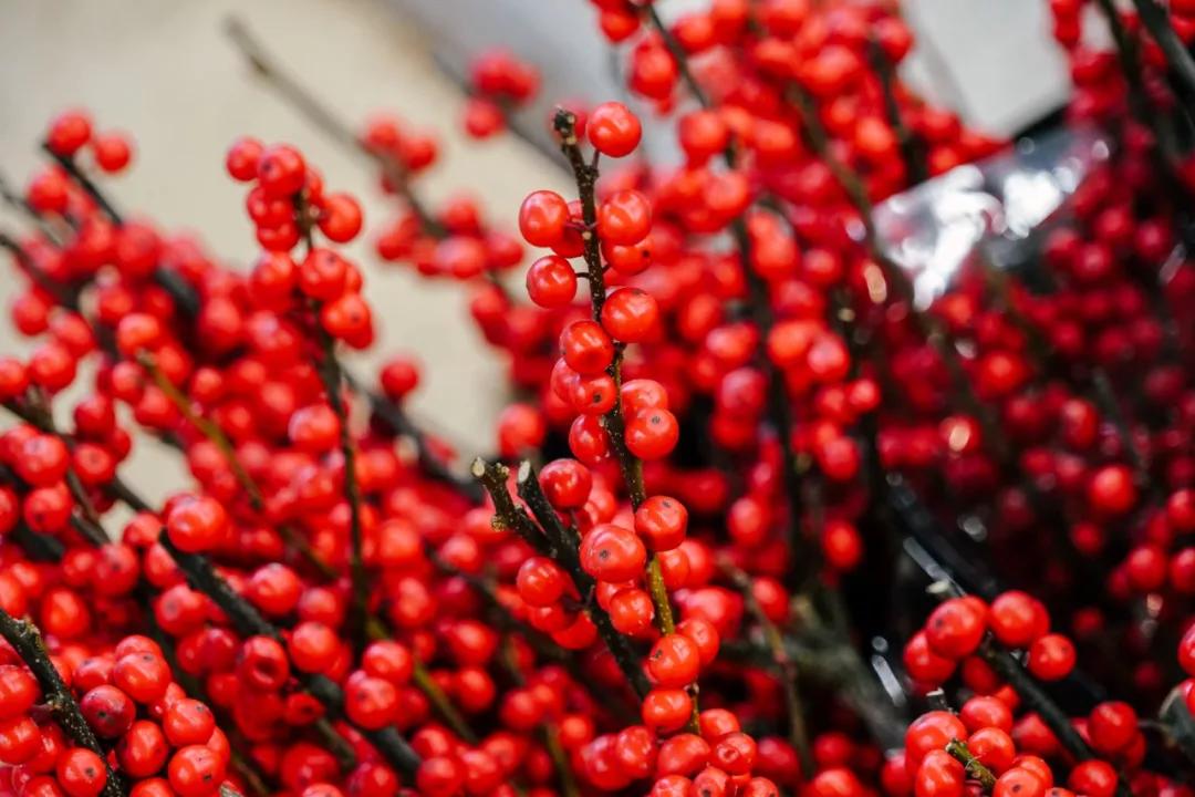 汉中门花市,汉中门花市价格