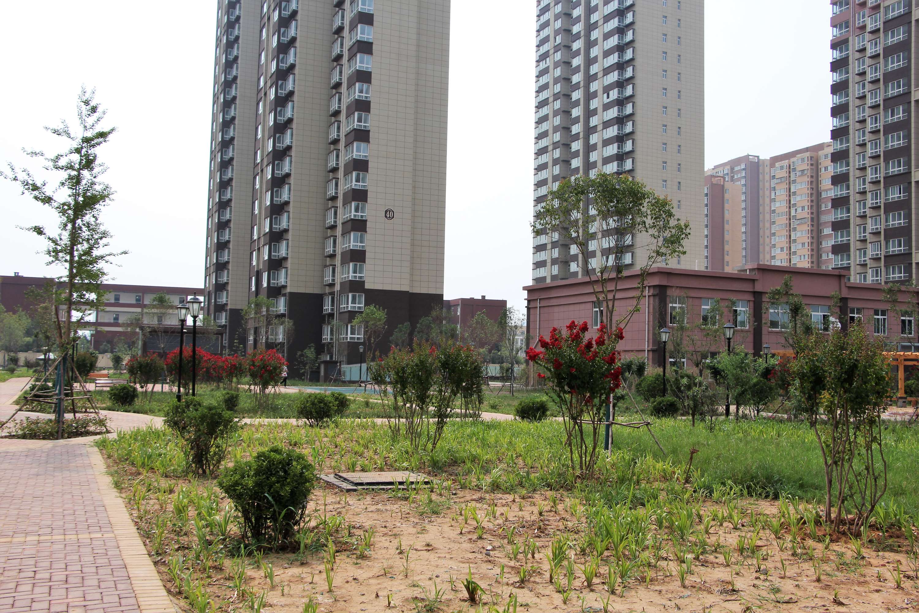 洛阳2023回迁安置小区,洛阳拆迁安置楼