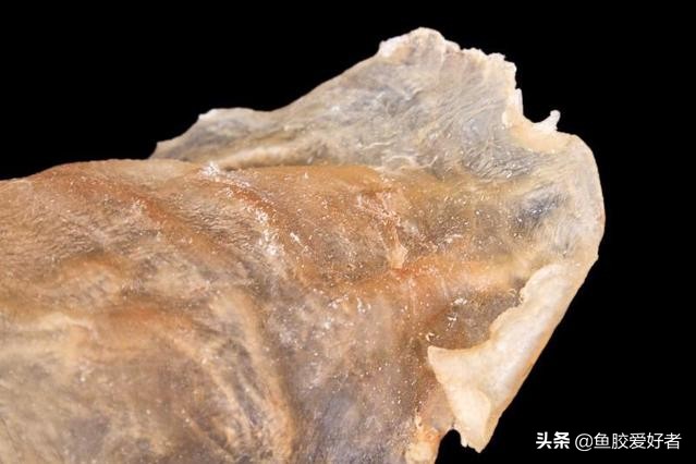 花胶和花胶的区别图片,假花胶与真花胶有什么区别