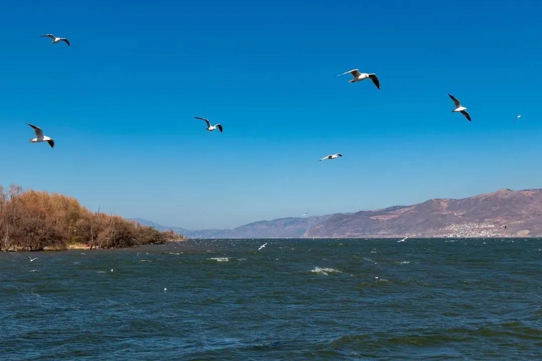 云南最美的旅游景点排名,大美云南11个县域旅游地