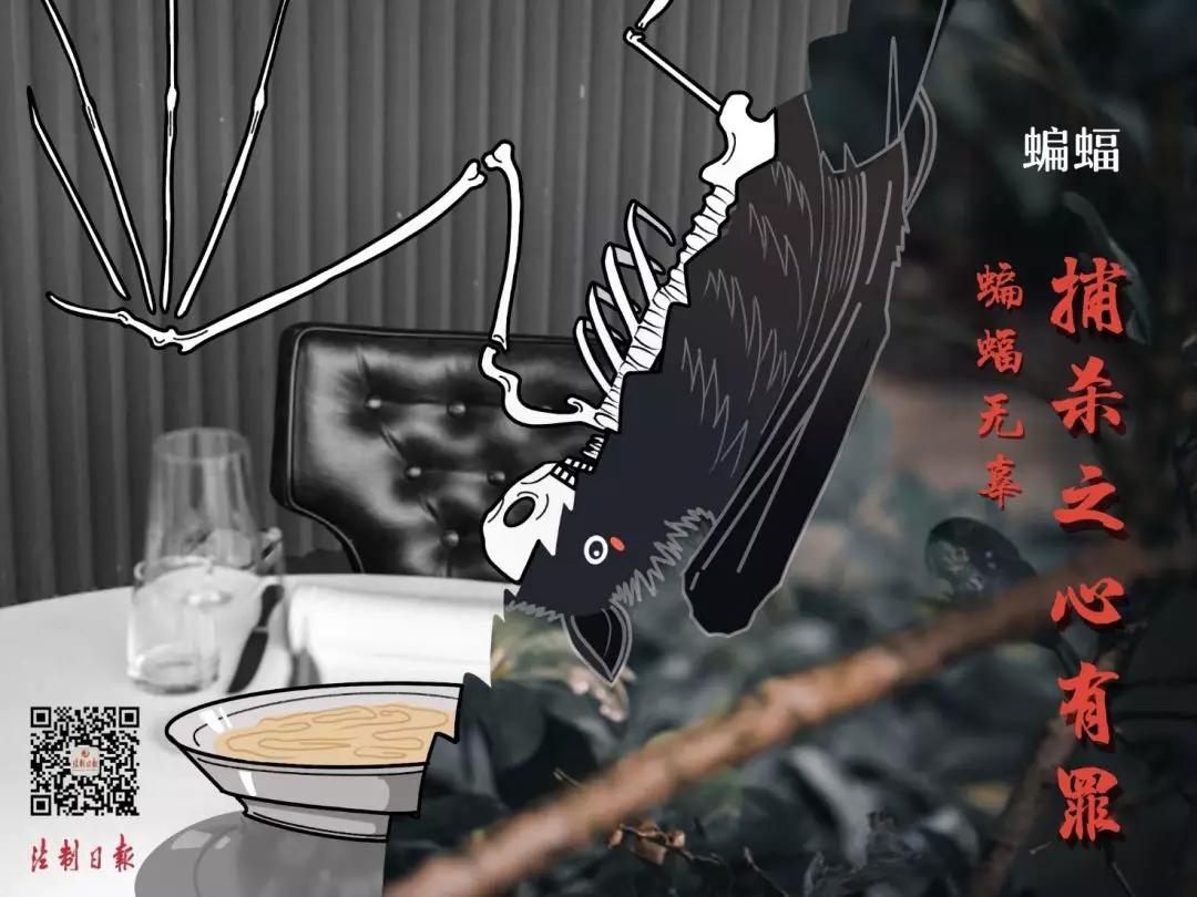 拒绝野味成为自觉行为,拒绝野味管不住嘴