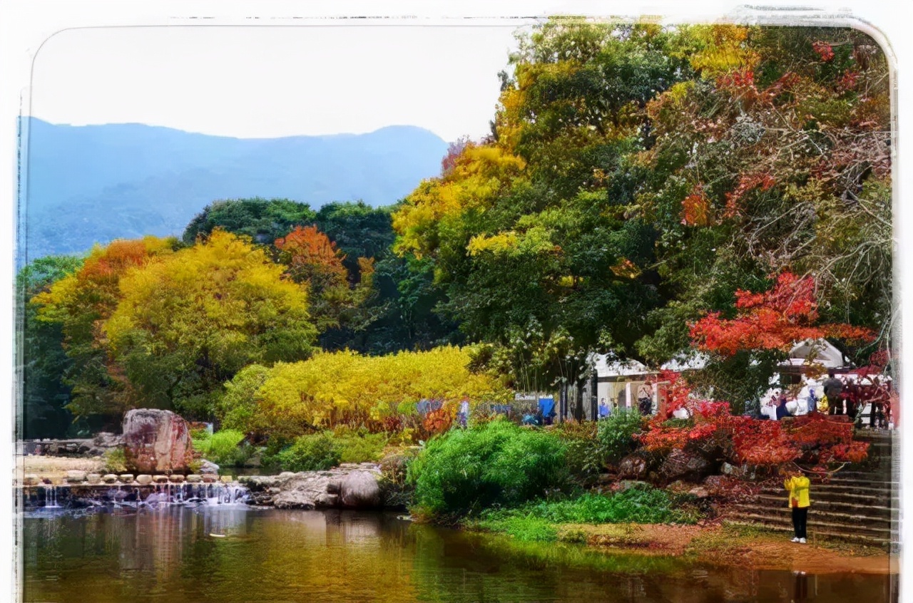 藏于高山密林的空中度假区——从化亿城泉说，泡温泉，叹早晚餐