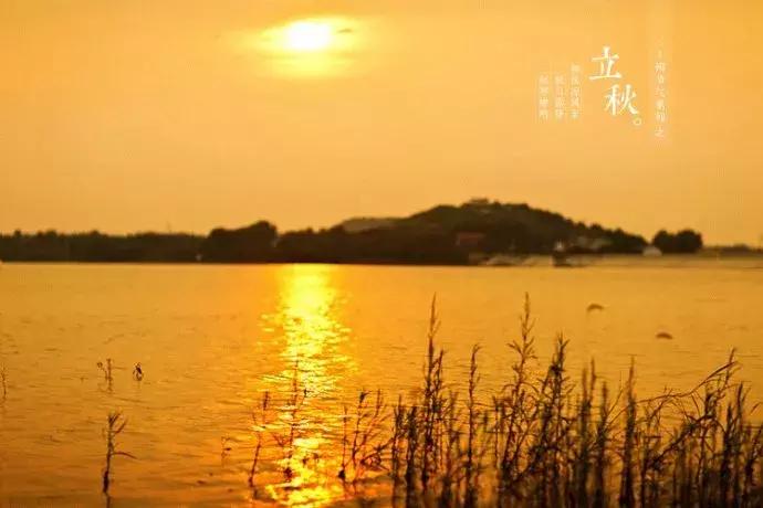 当下也有美诗读!和尚诗壁(76)回望当年牵手处,而今唯有落花新