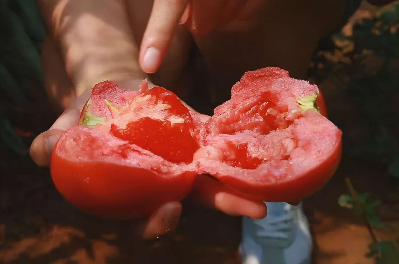 买西红柿的技巧,怎样挑选西红柿才好吃