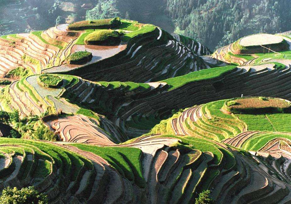 书山有路，莫让年华虚度——与我初一的学弟学妹们说说心里话