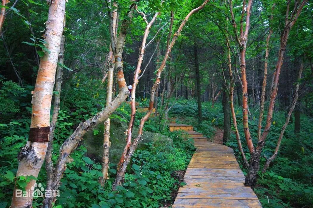 北京避暑,北京值得一去的皇家园林