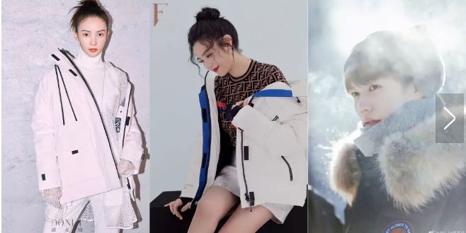 加拿大鹅与波司登买哪个,波司登和加拿大鹅差距在哪里