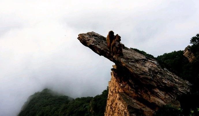 浠庡崡娴蜂箣婊ㄥ埌鍖楀浗闆師,浠庡崡鐤嗗埌鍖楃枂