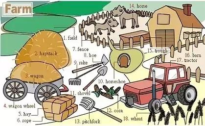 通过图片学习英语基本词汇,27张实用英语词汇图