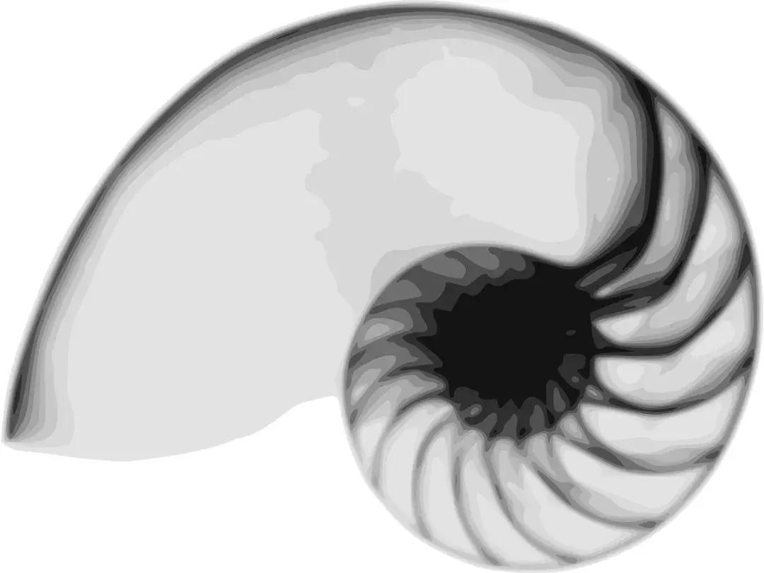 小蛮腰衣架设计图片,小蛮腰套衣架